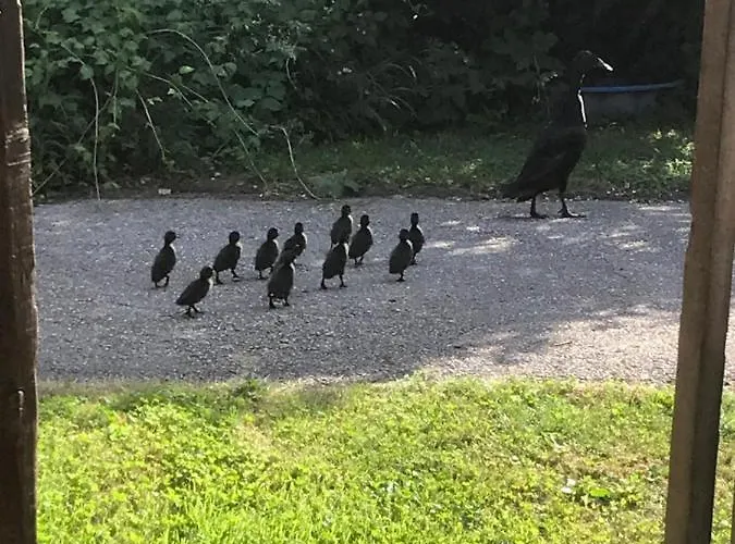 Georgihof Im Park Apartament