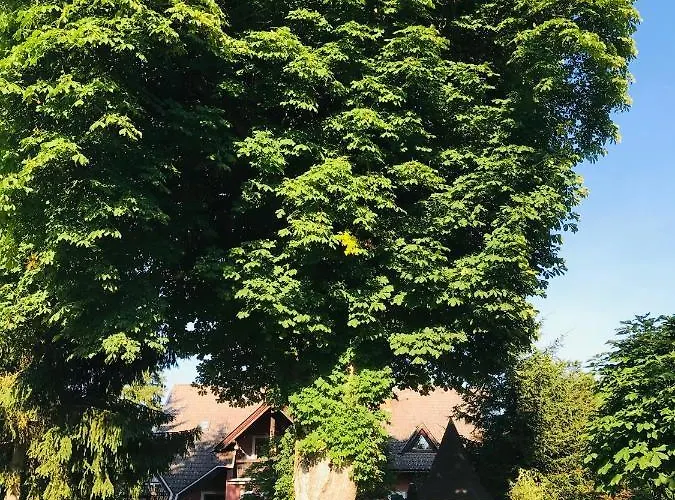 Georgihof Im Park דירה