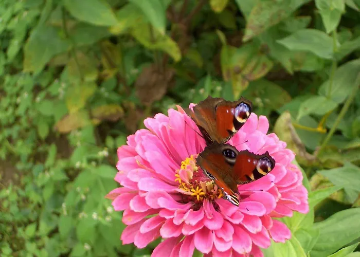 דירה Georgihof Im Park *